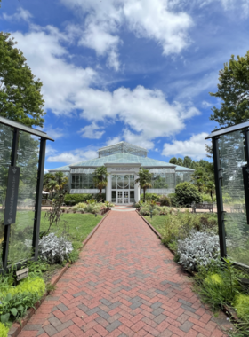 This image shows a lush garden at Daniel Stowe Botanical Garden, featuring colorful flowers, tropical plants, and serene walking paths. The garden is a peaceful destination for nature enthusiasts looking to relax and enjoy the beauty of diverse plant life.