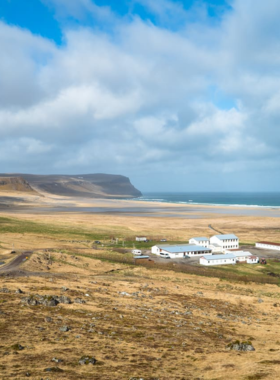 This image shows puffins nesting on the cliffs of Breiðavík Beach in Iceland, showcasing the abundance of seabirds in the area during summer, a great spot for birdwatching.