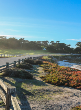 This image shows a panoramic view of the Pacific Ocean from the 17-Mile Drive, with dramatic cliffs and lush forests lining the road, offering a perfect route to explore Monterey’s stunning coastline.