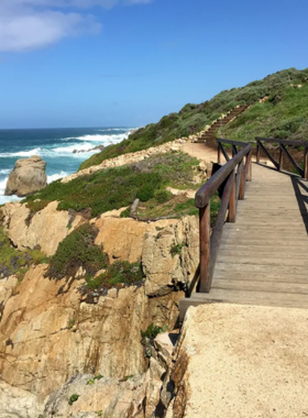 This image shows the scenic coastal trail in Garrapata State Park, with stunning ocean views and lush forests, offering hikers a peaceful and picturesque experience along the rugged Monterey coastline.