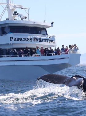 This image shows a whale-watching tour in Monterey Bay, with a majestic whale emerging from the water, capturing the thrilling experience of seeing these magnificent creatures in their natural habitat.