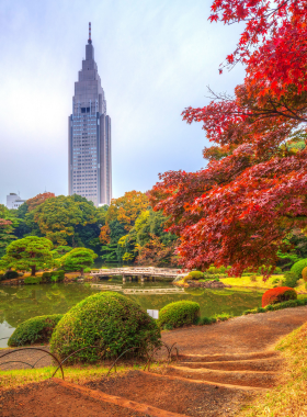 This image shows the beautiful Shinjuku Gyoen National Garden in Tokyo, with its serene ponds, well-maintained gardens, and visitors enjoying the peaceful natural surroundings during a spring or autumn visit.