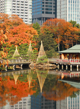 This image shows a traditional Japanese tea ceremony at the teahouse in Hamarikyu Gardens, Tokyo, with visitors enjoying tea while surrounded by the garden’s scenic views, ponds, and seasonal flowers.