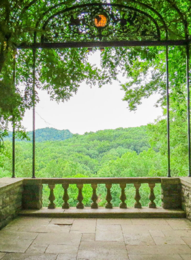 12. Cheekwood Estate & Gardens This image shows the beautiful gardens at Cheekwood Estate & Gardens, a stunning 55-acre property in Nashville. Visitors explore art collections inside the mansion and stroll through the gardens, which feature seasonal blooms and scenic walking trails.