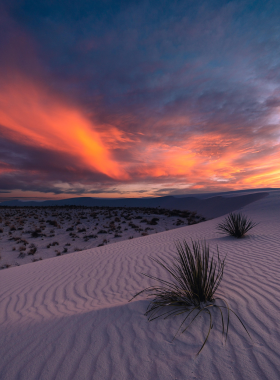 This image shows the vast white gypsum sand dunes of White Sands National Park. Visitors can be seen hiking and sledding down the dunes, highlighting the surreal beauty of the landscape under the bright sun, with the mountains in the distance.