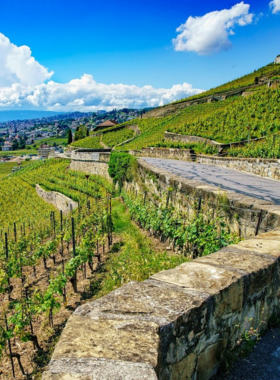 This image shows people enjoying brunch at a sunny terrace in Lausanne, overlooking Lake Geneva. The beautiful panoramic view of the lake and mountains makes it a perfect spot for a relaxing meal with loved ones.