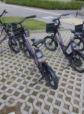 This image shows a PubliBike station in Lausanne, where visitors can rent bicycles to explore the city. The bike-sharing program makes it easy and eco-friendly to navigate the city’s streets and surrounding parks.