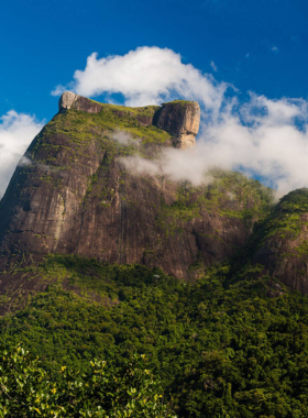 This image shows the lush green Tijuca National Park, a dense rainforest with tall trees, exotic plants, and natural trails. Sunlight filters through the foliage, creating a serene environment perfect for hiking and exploring Rio’s wildlife.