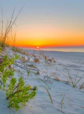 This image shows the pristine beach of Gulf Islands National Seashore with its soft white sands and clear turquoise waters. The park is an untouched natural sanctuary where visitors enjoy walking, swimming, or simply relaxing amidst the tranquil and scenic coastal surroundings.