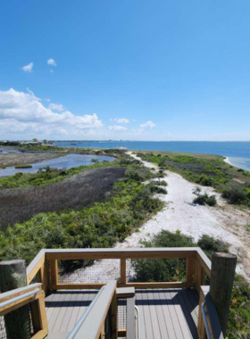 This image shows a scenic trail at Big Lagoon State Park, offering visitors a peaceful nature walk surrounded by lush greenery. The trail leads to beautiful views of the lagoon, where birds and other wildlife can be spotted in their natural habitat, making it an ideal spot for outdoor enthusiasts.