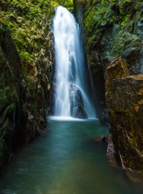 This image shows the peaceful Bang Pae Waterfall in Phuket, where visitors enjoy nature, cool waters, and lush surroundings in the Khao Phra Thaeo National Park.