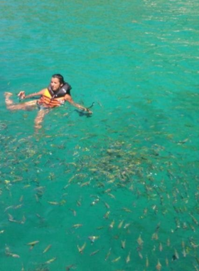 This image shows snorkelers exploring vibrant coral reefs in the crystal-clear waters around Phuket’s islands. Colorful fish swim alongside, creating an unforgettable underwater experience for those looking to discover the hidden marine life beneath the surface.