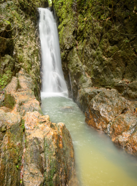 This image shows the serene Bang Pae Waterfall surrounded by dense jungle in Phuket, alongside the Gibbon Rehabilitation Center. The waterfall is a peaceful natural escape, while the center emphasizes wildlife conservation and the protection of endangered gibbons.