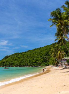 This image shows the pristine Ao Yon Beach in Phuket, surrounded by palm trees and calm, turquoise waters. The secluded beach offers a peaceful retreat, ideal for sunbathing, swimming, or enjoying a quiet picnic in a serene and natural setting.