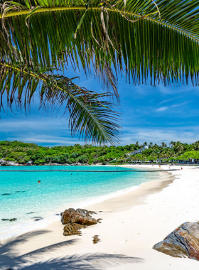 This image shows that Koh Racha Yai is a beautiful island near Phuket, known for its crystal-clear waters and vibrant marine life. The image features a diver exploring the coral reefs, capturing the underwater beauty of the island, making it a prime location for underwater and marine photography.