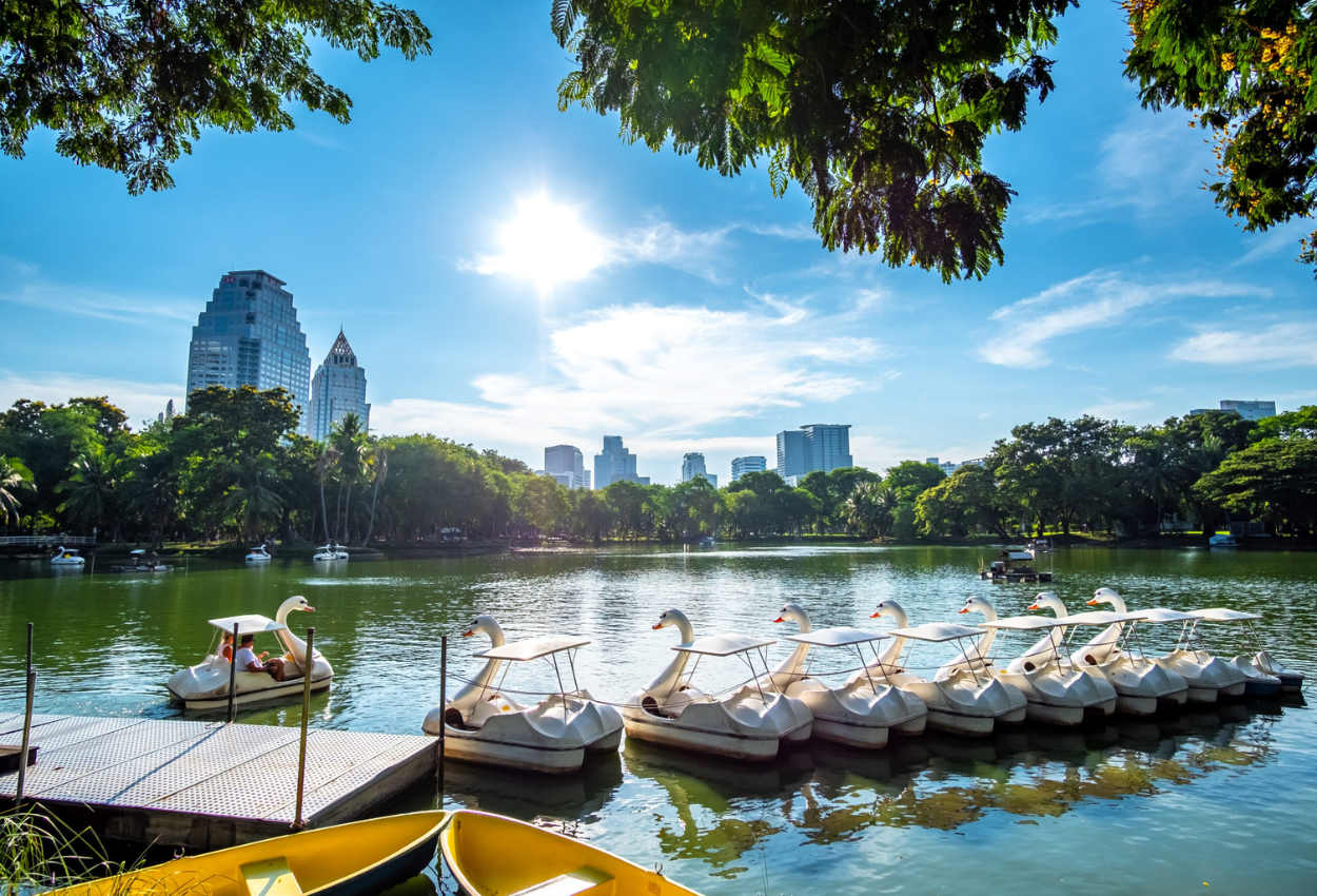 15 Best Photography and Wildlife Spots in Bangkok You Can’t Miss