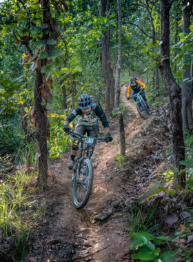 This image shows a group of mountain bikers riding through scenic trails in Chiang Mai, passing lush forests, steep hills, and beautiful landscapes, making it an exciting outdoor adventure.