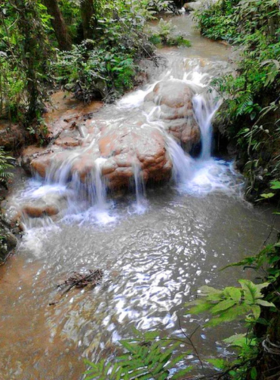 This image shows the rugged landscape of Pha Daeng National Park, with adventurers hiking through dense forests, exploring waterfalls, and experiencing the natural beauty of one of Chiang Mai's less-crowded parks.