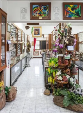 This image shows an exhibit at the Museum of World Insects, featuring colorful butterfly specimens displayed neatly in glass cases. The close-up shot reveals the intricate patterns on the butterflies’ wings, highlighting nature’s artistry. Informative plaques provide details about each species, making the exhibit both educational and visually captivating. The museum's quirky and unique appeal is evident in its detailed presentation.