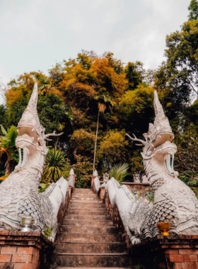 This image shows the peaceful hiking trail to Wat Pha Lat, surrounded by dense jungle and tall trees. The pathway is well-marked and leads to a hidden temple with stone sculptures and serene waterfalls. The hike offers a refreshing escape into nature, with the sounds of birds and rustling leaves enhancing the tranquil atmosphere. It’s an ideal experience for adventurers and spiritual seekers.