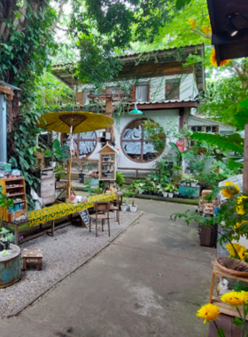 This image shows the vibrant and artistic atmosphere of Baan Kang Wat, where local art galleries, murals, and cozy cafes offer great opportunities for photography in a creative setting.