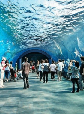 This image shows visitors walking through the underwater tunnel at Underwater World Marine Park in Pattaya, surrounded by a wide variety of sea life. Sharks, rays, and colorful fish swim overhead, offering an immersive marine experience as visitors get a closer look at ocean creatures in a safe and educational environment.