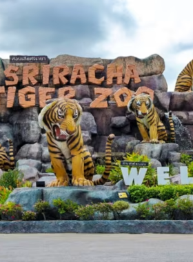 This image shows a thrilling tiger performance at the Sriracha Tiger Zoo near Pattaya. Trained tigers leap through hoops and interact with their trainers in a controlled environment. Visitors watch in awe as the powerful tigers perform in front of an excited crowd, showcasing their strength and agility.