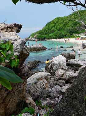 This image shows the serene sandy beaches of Koh Larn Island, located just off the coast of Pattaya. The clear blue water, quiet environment, and natural beauty make it a perfect getaway for anyone looking to relax and enjoy a peaceful day by the sea.