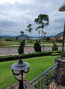 This image shows the rolling vineyards and vibrant flower gardens of Silverlake Vineyard, with a tranquil lake in the background. The scenic beauty makes it a perfect spot for relaxation and photography.