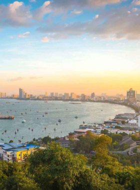 This image shows the stunning panoramic view of Pattaya from Khao Pattaya Viewpoint, with lush greenery and birdlife enhancing the scenic beauty. It’s an ideal spot for landscape and wildlife photography.