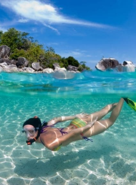 This image shows a vibrant underwater scene in Koh Samui, where colorful fish and coral reefs thrive, highlighting the beauty of snorkeling and scuba diving adventures in the island’s crystal-clear waters.