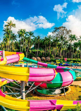 This image shows the thrilling water slides at Samui Water Park Pink Elephant, where visitors of all ages can enjoy a fun-filled day with a variety of water attractions, including wave pools and lazy rivers, perfect for family enjoyment.