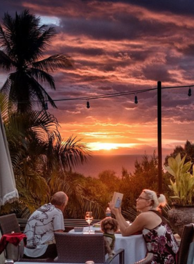 This image shows Barracuda Restaurant in Koh Samui, with a cozy, modern interior. It highlights the fresh seafood offerings, including grilled fish and seafood risotto, served in a warm and inviting setting ideal for casual dining.