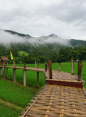 This image shows the Bamboo Bridge in Pai, stretching across lush rice paddies and offering stunning views of the surrounding mountains. The bridge, made entirely of bamboo, provides a peaceful walk through nature, with greenery all around and clear skies above. It's a popular spot for photography and relaxation, allowing visitors to experience the serene beauty of Pai's rural landscape.