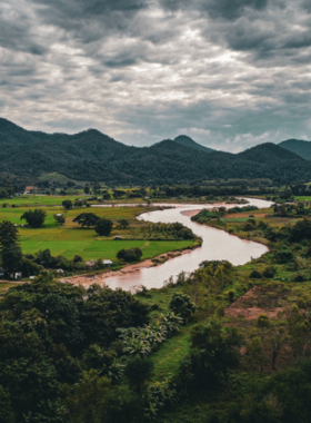 This image shows the scenic countryside of Pai, with wide-open rice fields, green hills, and clear blue skies. Visitors often rent scooters to explore this stunning landscape, passing through small villages and tranquil nature spots. The area is perfect for photography and outdoor exploration, offering a peaceful escape from the hustle and bustle of city life and showcasing the beauty of northern Thailand.