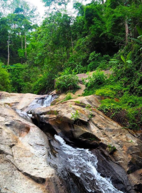 This image shows Mo Paeng Waterfall in Pai, a serene waterfall surrounded by lush greenery and clear, refreshing water. The natural setting offers a peaceful retreat for visitors looking to enjoy nature and take a swim. The waterfall is easily accessible and a perfect spot for relaxation, picnicking, and capturing stunning photographs.