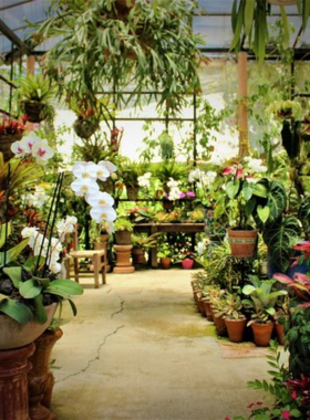 This image shows visitors walking through the Vallarta Botanical Gardens, surrounded by lush tropical plants and flowers, offering a peaceful retreat to experience the beauty of native Mexican flora.