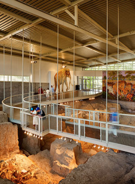 This image shows the Waco Mammoth National Monument, where visitors explore fossilized remains of Columbian mammoths. Guided tours take guests through the excavation site, offering insights into the prehistoric creatures and their environment.