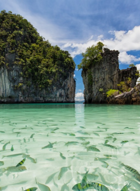 This image shows tourists island-hopping in Krabi, Thailand, exploring stunning beaches and crystal-clear waters. The dramatic limestone cliffs and lush islands make this an unforgettable adventure for visitors.