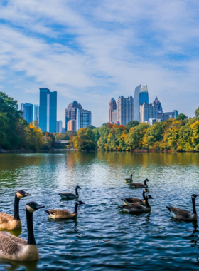 This image shows the scenic Piedmont Park, featuring tree-lined walking trails and open green spaces. Visitors are seen enjoying leisurely walks and picnics while the city skyline looms in the background, making it a perfect urban retreat.