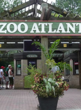 This image shows the panda enclosure at Zoo Atlanta, with a playful giant panda eating bamboo. Visitors can be seen watching the animal, capturing the zoo’s focus on wildlife conservation and education.