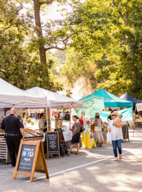 This image shows the bustling Piedmont Park Farmers Market, set amidst the greenery of Piedmont Park in Atlanta. Visitors are seen browsing stalls filled with fresh fruits, vegetables, artisan goods, and delicious prepared foods. The market reflects the community’s vibrant atmosphere and offers a true taste of local flavors, crafts, and culture, all set in the park’s scenic surroundings.