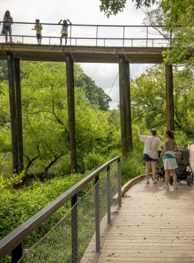 This image shows the serene Chattahoochee River at the Chattahoochee Nature Center, surrounded by lush trees and calm water. Visitors are kayaking and enjoying nature, highlighting the center’s role in environmental preservation.