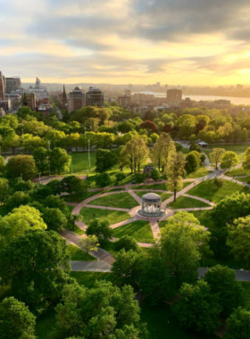 This image shows the serene Boston Public Garden, America’s first public botanical garden, with its vibrant flower beds, lush greenery, and peaceful Swan Boats gliding across the pond. Visitors are enjoying a sunny day, surrounded by colorful blooms and iconic statues.