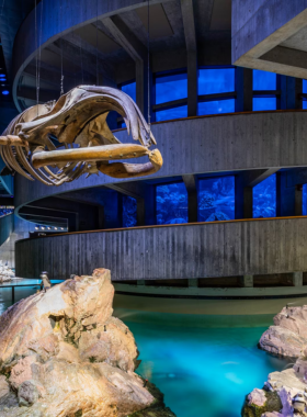 This image shows the New England Aquarium in Boston, with its modern architecture and Giant Ocean Tank visible through the glass. Families are exploring exhibits featuring penguins, sea turtles, and colorful coral reefs, making it a popular destination for marine life enthusiasts.