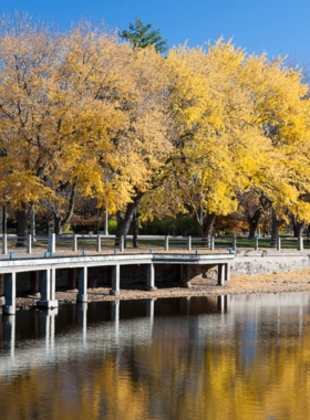 This image shows Dow’s Lake in Ottawa, a tranquil and scenic spot perfect for a relaxing day. Visitors can enjoy canoeing, paddle boating, or simply taking in the beauty of the surrounding nature. The lake is especially popular in spring when cherry blossoms bloom, creating a picturesque view. With nearby cafes and restaurants offering great food, Dow’s Lake is the ideal place to spend a peaceful afternoon surrounded by Ottawa’s natural beauty.