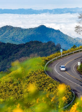 This image shows a scenic and quiet stop along the Mae Hong Son Loop in Thailand, featuring lush greenery, winding roads, and a sense of exploration.