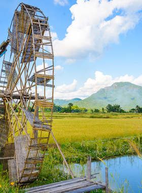 This image shows the serene wetlands of Pai, a haven for wildlife and nature enthusiasts. The tranquil waters and surrounding greenery provide a picturesque backdrop, teeming with birds and aquatic life in their natural habitat.