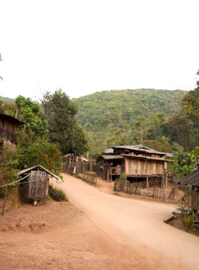 Lahu-Village-Cultural-Experience This image shows the Lahu village in Chiang Rai, where visitors can interact with the Lahu people, known for their colorful clothing and distinct cultural practices. The village provides an authentic look at the lifestyle of one of Thailand's indigenous communities.