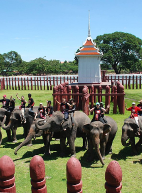 This image shows elephants at the Ayutthaya Elephant Village, showcasing ethical interactions. Visitors can see how these majestic creatures are cared for while learning about their historical and cultural importance.